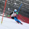Druskininkuose atidarytame Europos kalnų slidinėjimo sezone rungėsi atletai iš keturių žemynų