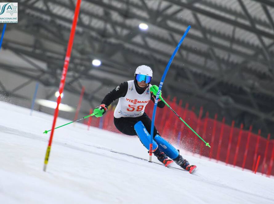 Druskininkuose atidarytame Europos kalnų slidinėjimo sezone rungėsi atletai iš keturių žemynų